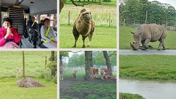 Northwich care home Residents enjoy safari park